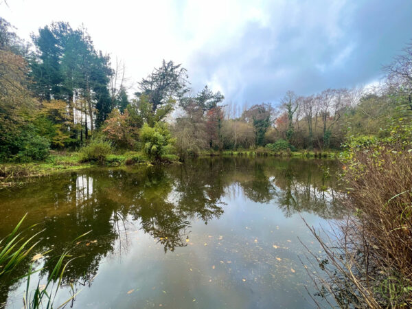 Colmer Estate, Modbury, Ivybridge