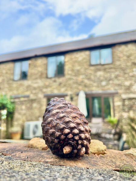 Colmer Estate, Modbury, Ivybridge